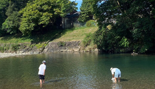 彼女と虫と夏の思い出2024