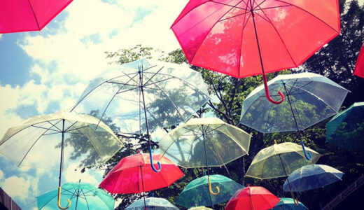 雨が好きだった