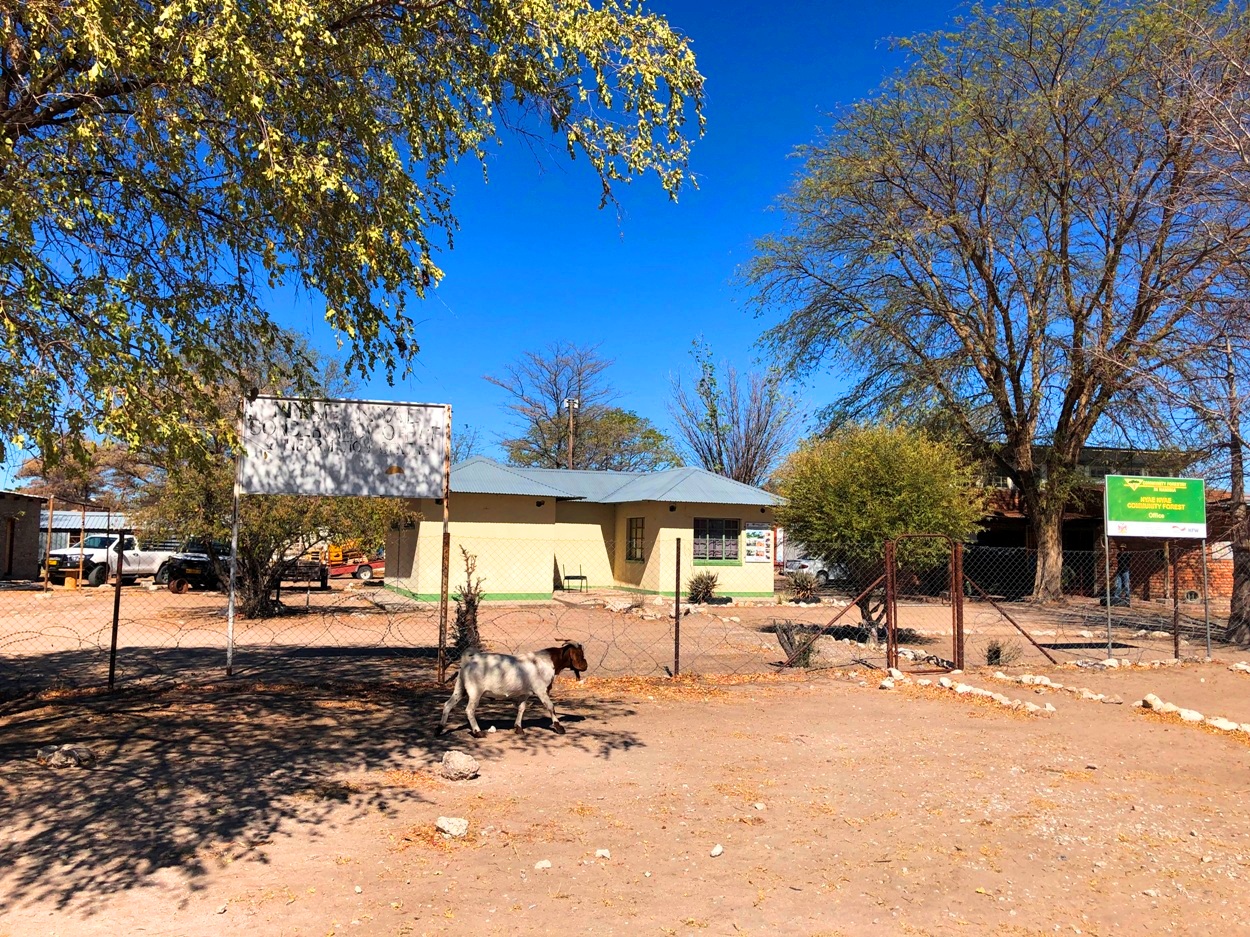 「ニャエニャエ保全区」(Nyae Nyae Conservancy)の事務所。サン族地域の発展につくしてきた団体だ。すぐ右手には、サン族の人たちがつくった民芸品を販売する店舗もあるが、ここしばらく閉まっているという