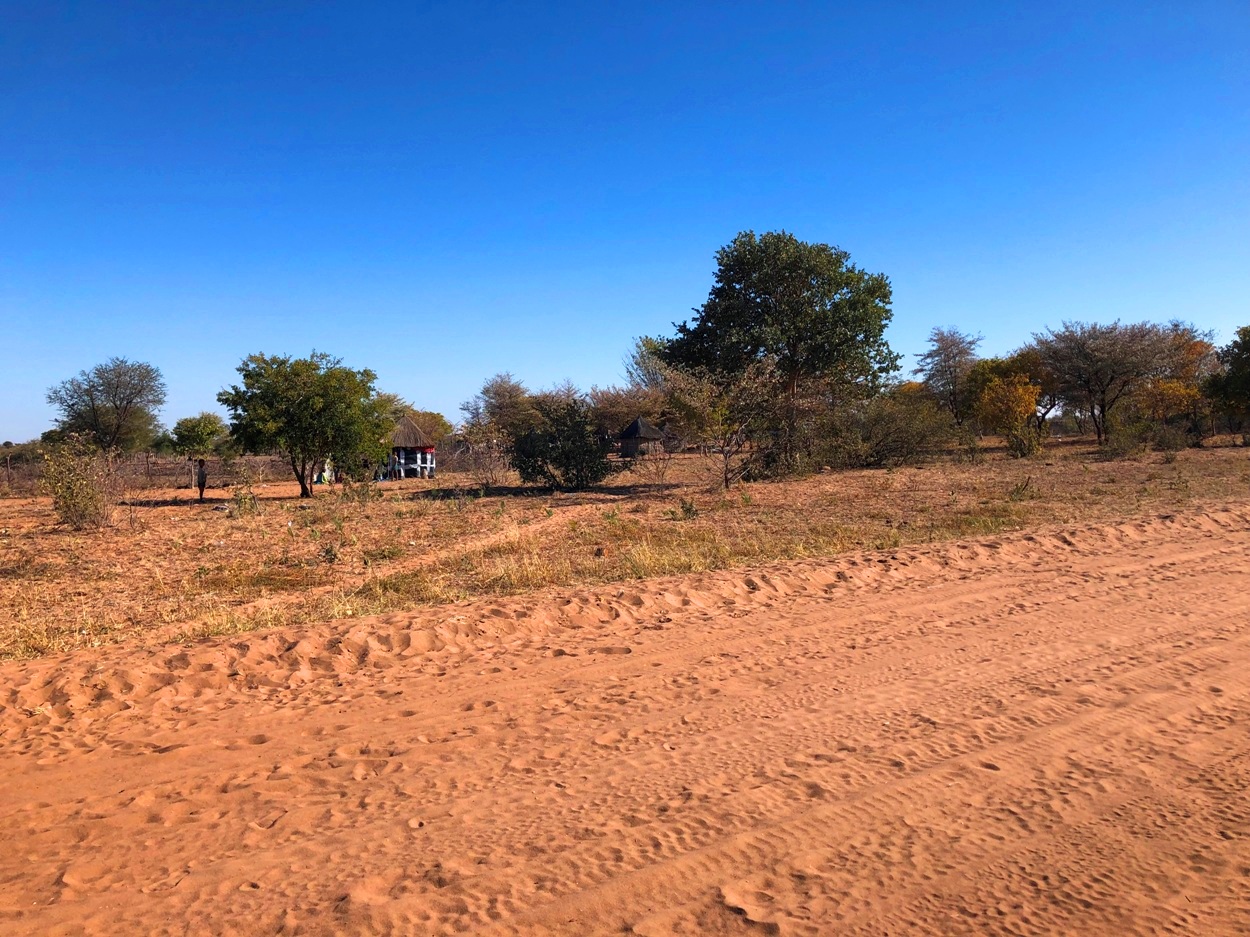 沿道に沿って一つだけ村があった。Om!o!oの村。ツムクェと違ってニャエニャエ保全区内の村は伝統的統治機構に従いサン族だけが住める村だ