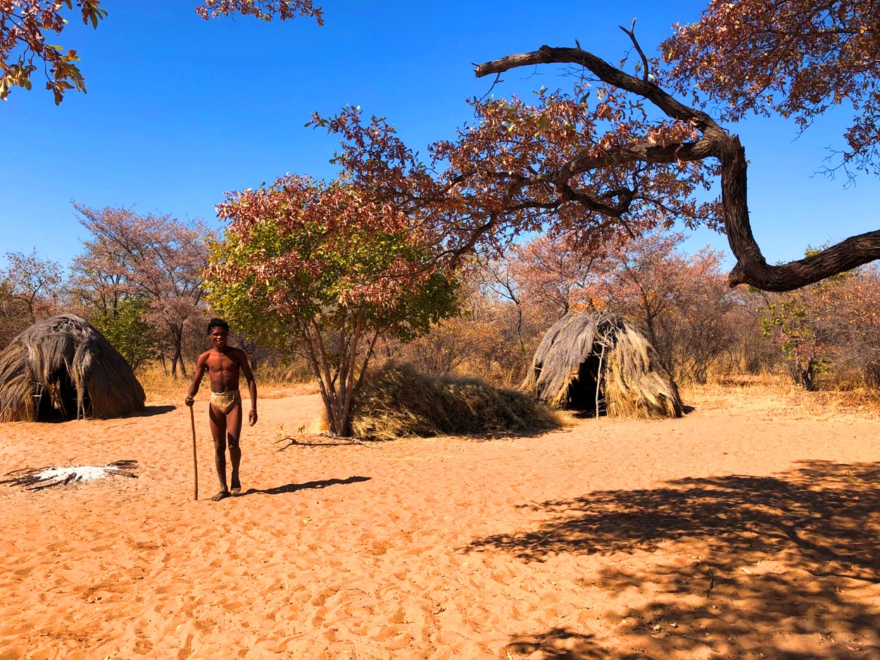 ブッシュの中から狩猟採集民現れる。サン族の伝統的な家屋の並ぶ集落が「生きた博物館」だ