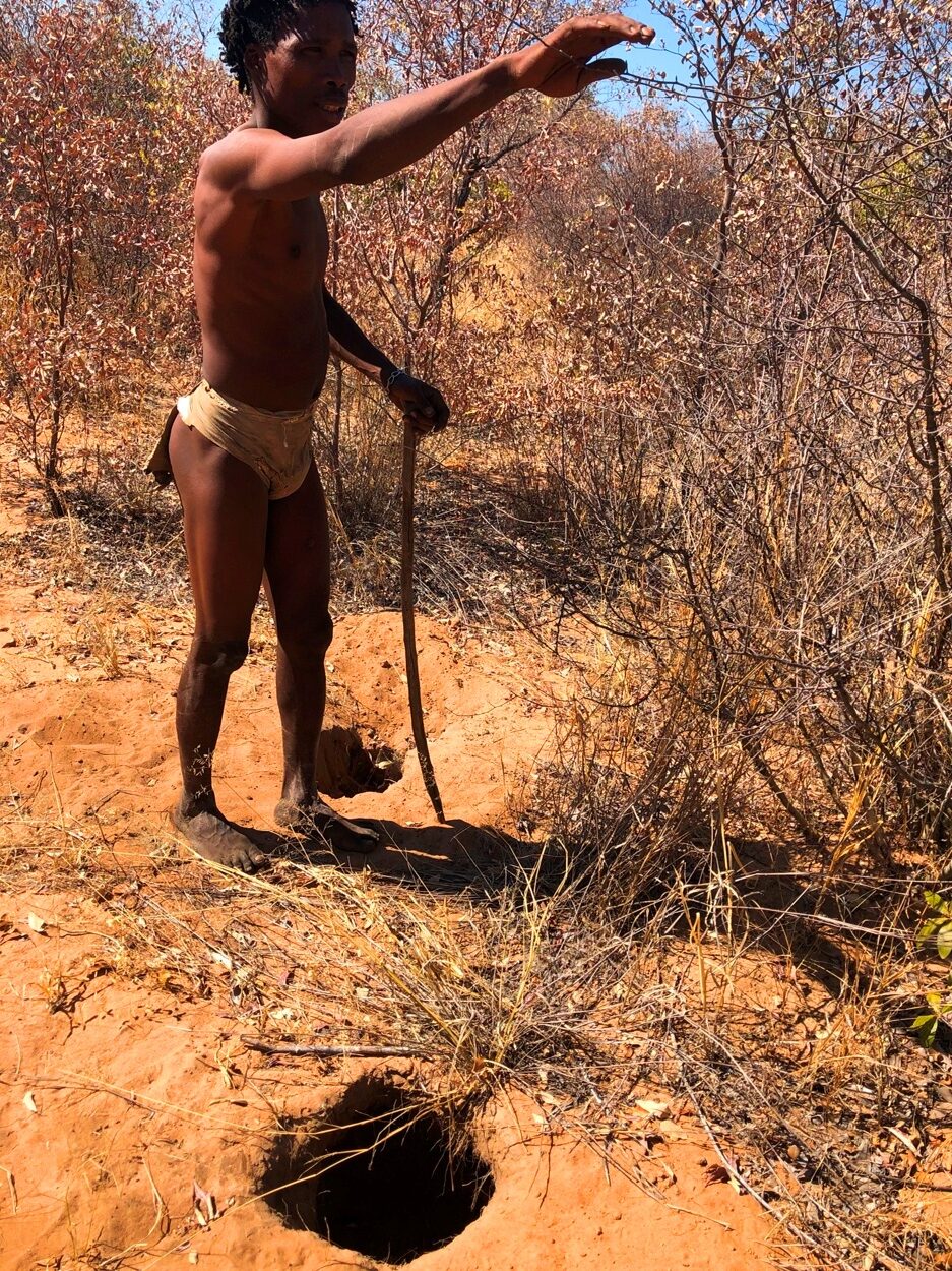 毒となる部分を穴の中に落とし保存する