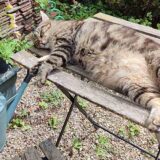 フランス：飲む酒、飲まれる酒