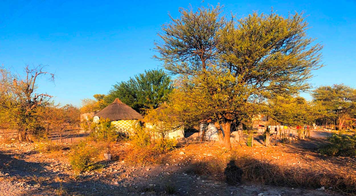 ツムクェ村の伝統的家屋 © 岡部一明