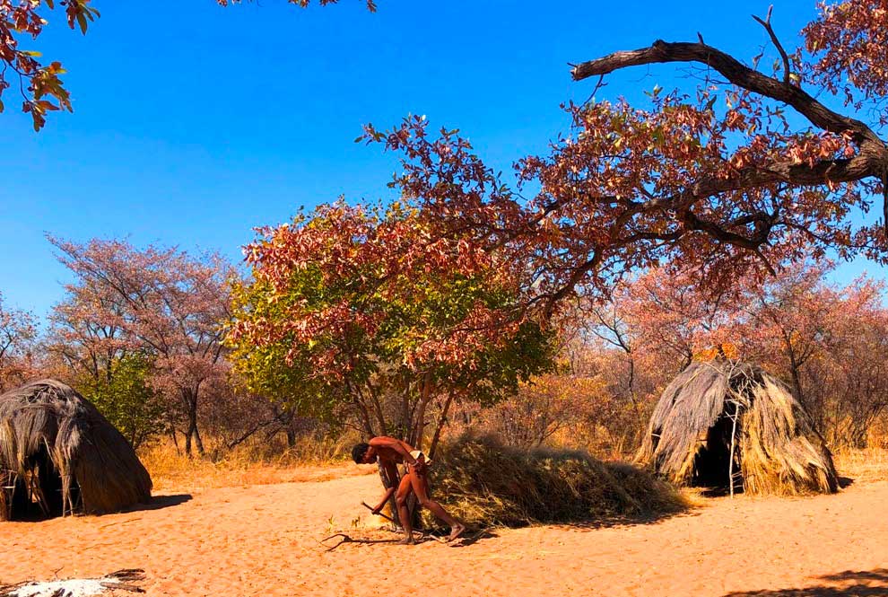 サン族の伝統的家屋。ツムクェ北方のカホバ集落で © 岡部一明