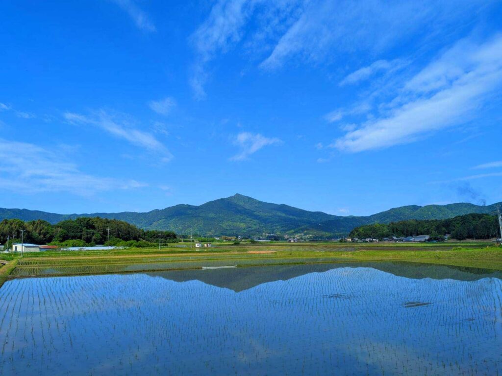 大きな水鏡となった田んぼに映し出される筑波山 © 早川幸子