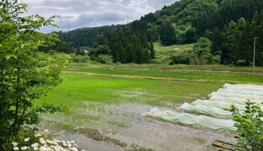 下のソーシャルリンクからフォロー