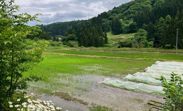 南砺市データセンター候補地近隣田園風景